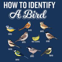 Funny Bird Watcher How To Identify A Bird Unique Birder Infant Baby Jersey Bodysuit