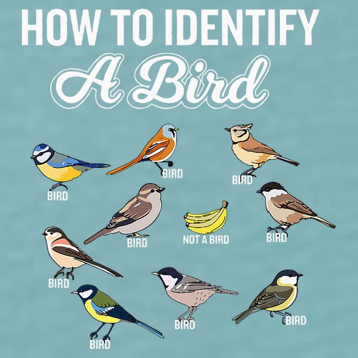 Funny Bird Watcher How To Identify A Bird Unique Birder Sueded Cloud Jersey T-Shirt