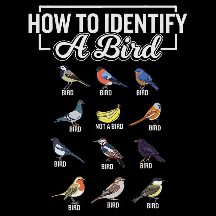 Funny Bird Watcher How To Identify A Bird Unique Birder Flat Bill Trucker Hat