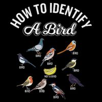 Funny Bird Watcher How To Identify A Bird Unique Birder Baby Bodysuit
