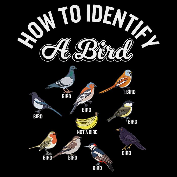 Funny Bird Watcher How To Identify A Bird Unique Birder Baby Bodysuit