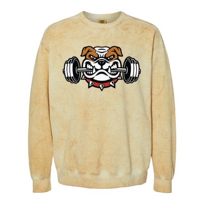 Funny Bulldog Weightlifting Fitness Gym Colorblast Crewneck Sweatshirt