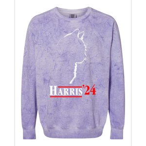 Funny Cat 2024 President Kamala Harris Cat Ladies For Kamala Gift Colorblast Crewneck Sweatshirt