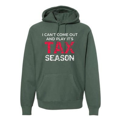 Funny CPA Accountant Gag Gift Premium Hoodie