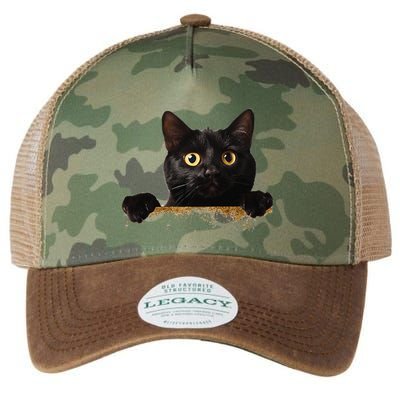 Funny Curious Adorable Cat Black Peeking Kitten Pet Lovers Legacy Tie Dye Trucker Hat