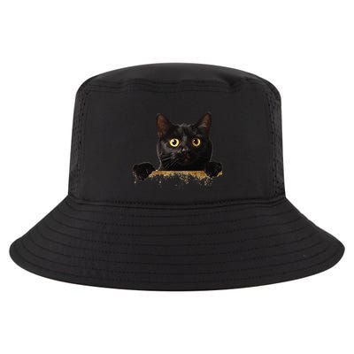 Funny Curious Adorable Cat Black Peeking Kitten Pet Lovers Cool Comfort Performance Bucket Hat