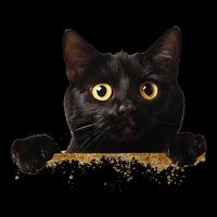 Funny Curious Adorable Cat Black Peeking Kitten Pet Lovers Doggie Tank