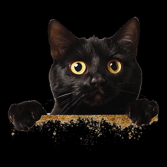 Funny Curious Adorable Cat Black Peeking Kitten Pet Lovers Doggie Tank