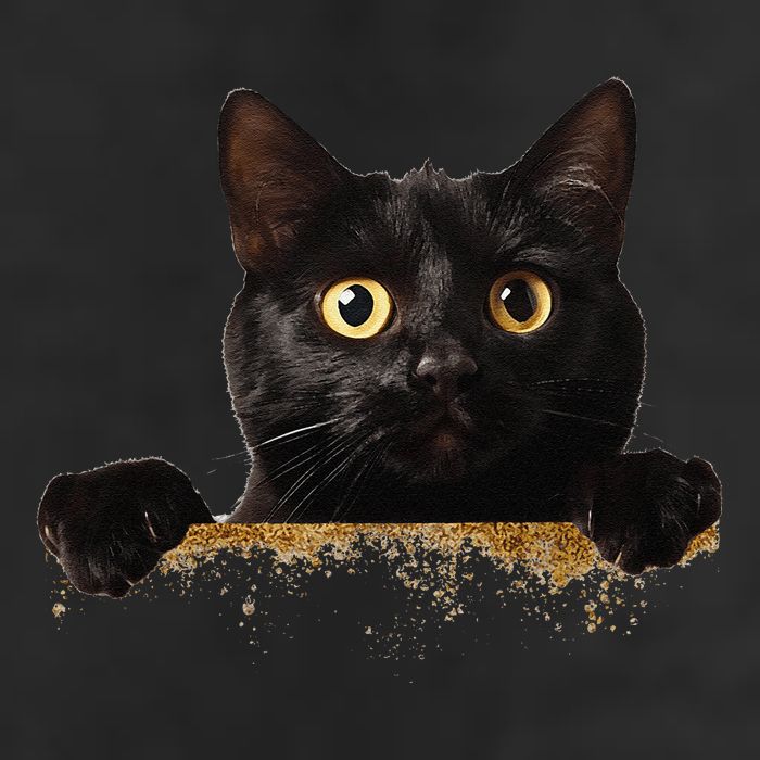 Funny Curious Adorable Cat Black Peeking Kitten Pet Lovers Adult Drive Performance Visor