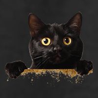 Funny Curious Adorable Cat Black Peeking Kitten Pet Lovers 11oz C Handle Ceramic Mug