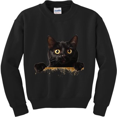 Funny Curious Adorable Cat Black Peeking Kitten Pet Lovers Kids Sweatshirt