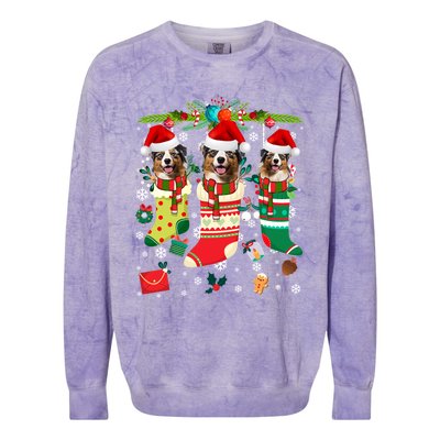 Funny Christmas Australian Shepherd Dogs Gift Colorblast Crewneck Sweatshirt