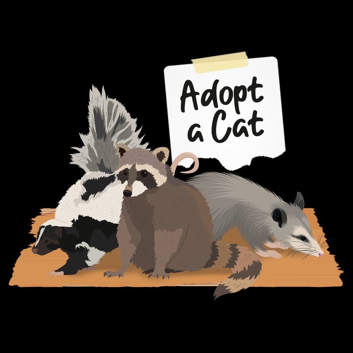 Funny Cute Adopt A Cat Skunk Raccoon Opossum T-Shirt