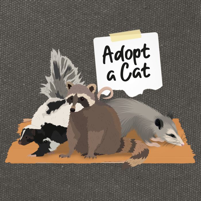 Funny Cute Adopt A Cat Skunk Raccoon Opossum Cotton Canvas Backpack