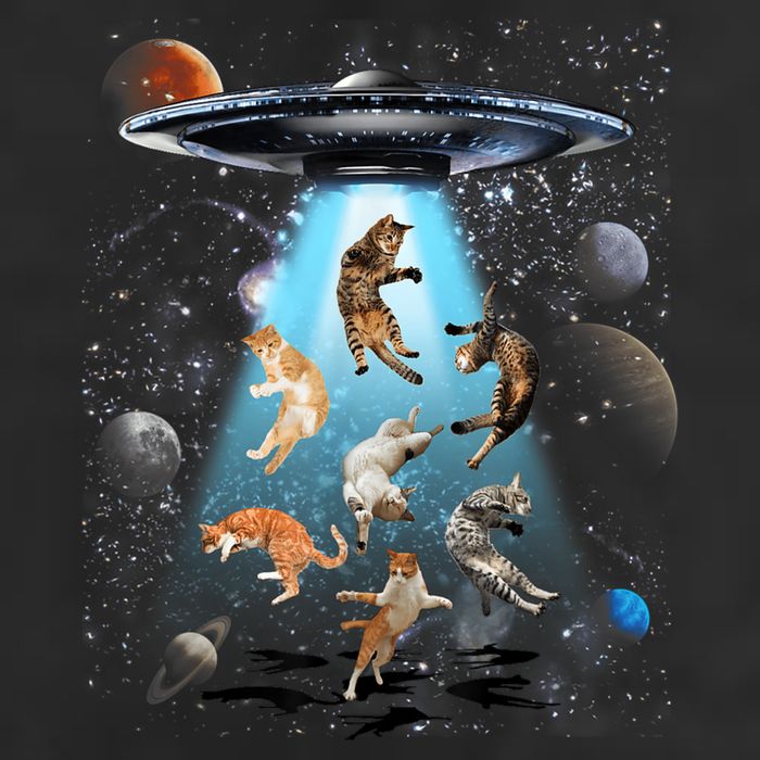 Funny Cat Astronaut Outer Space Watercolor Splash Cat Lover Hat