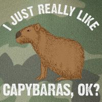Funny Capybara Art For Rodent Capybara Lover Legacy Tie Dye Trucker Hat