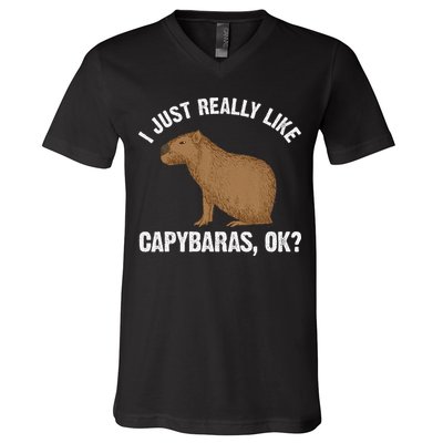 Funny Capybara Art For Rodent Capybara Lover V-Neck T-Shirt