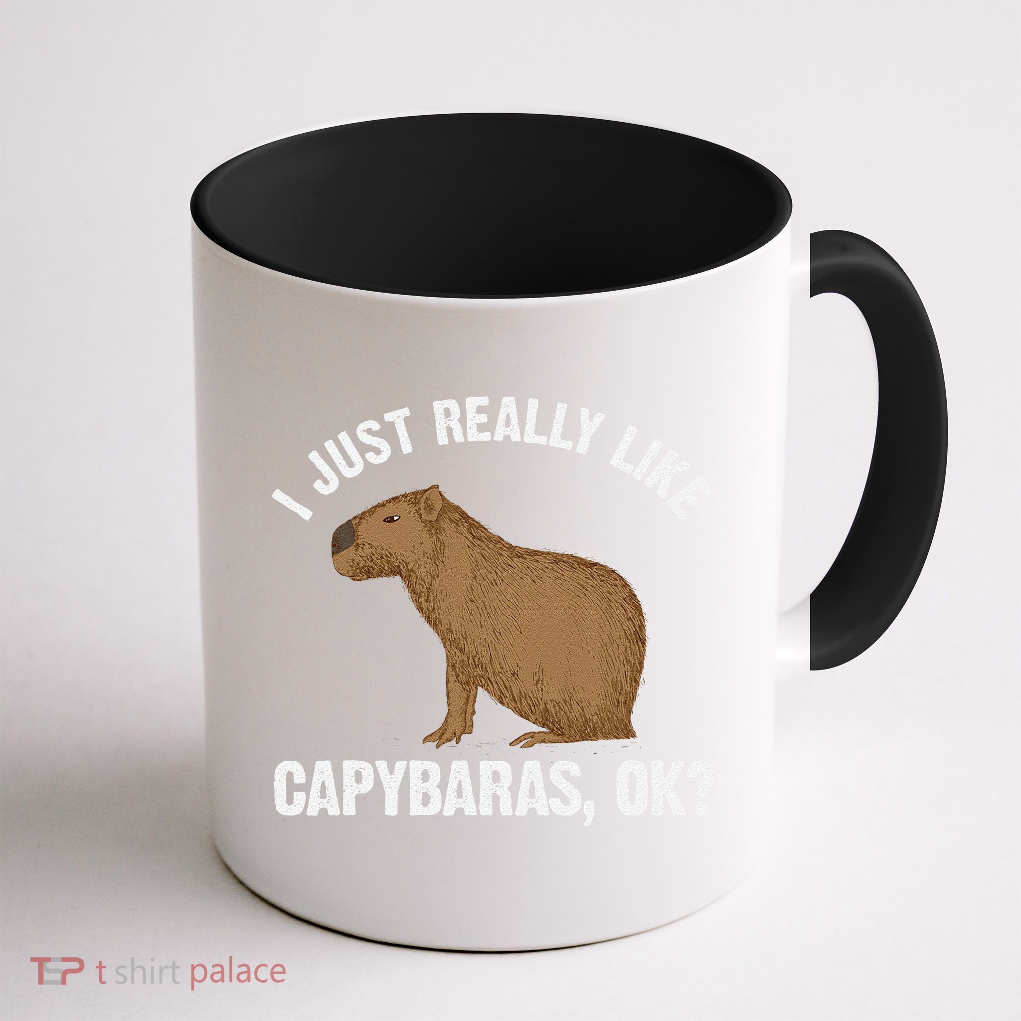 Funny Capybara Art For Rodent Capybara Lover Mug