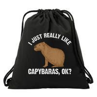 Funny Capybara Art For Rodent Capybara Lover Drawstring Bag
