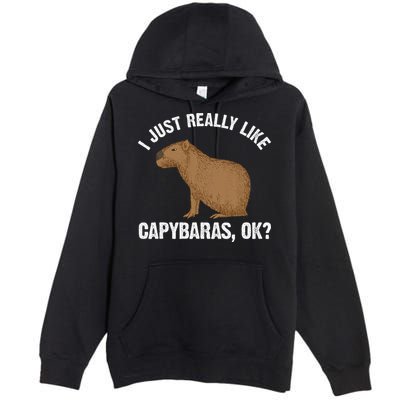 Funny Capybara Art For Rodent Capybara Lover Premium Pullover Hoodie