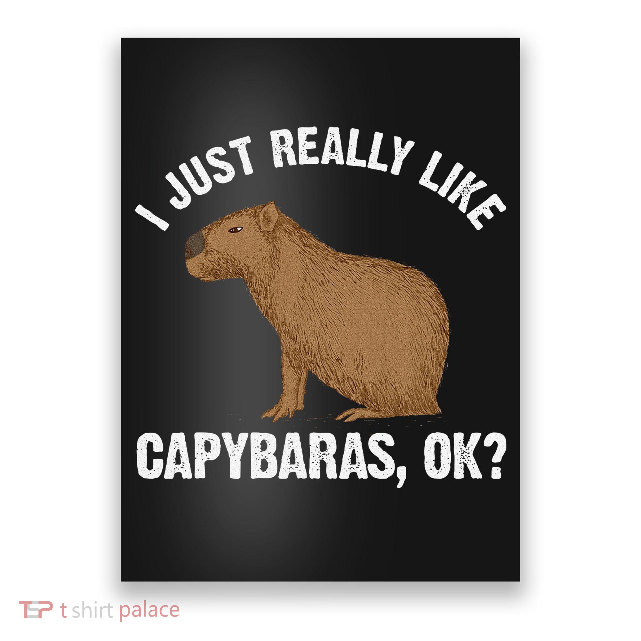 Funny Capybara Art For Rodent Capybara Lover Poster