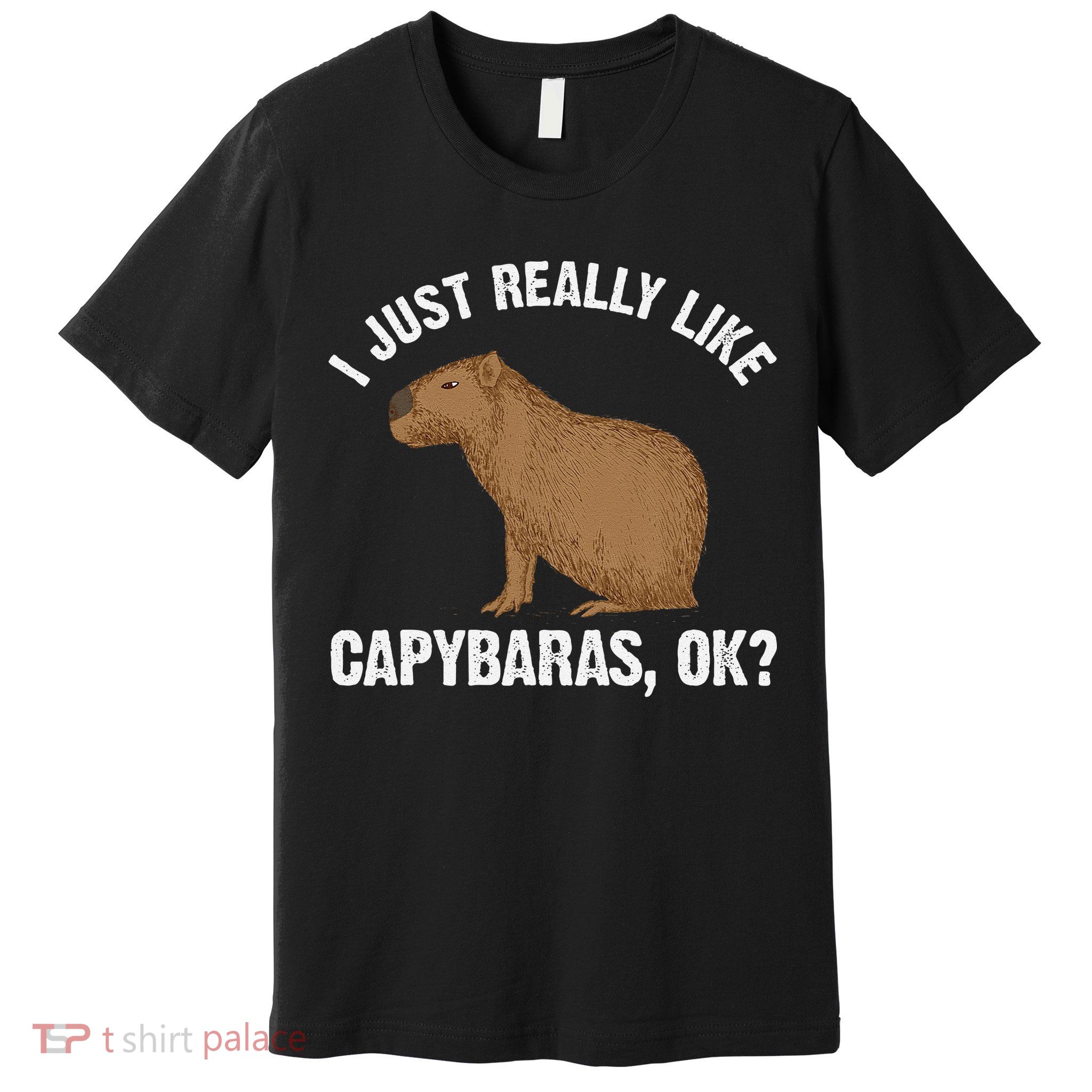 Funny Capybara Art For Rodent Capybara Lover Premium T-Shirt