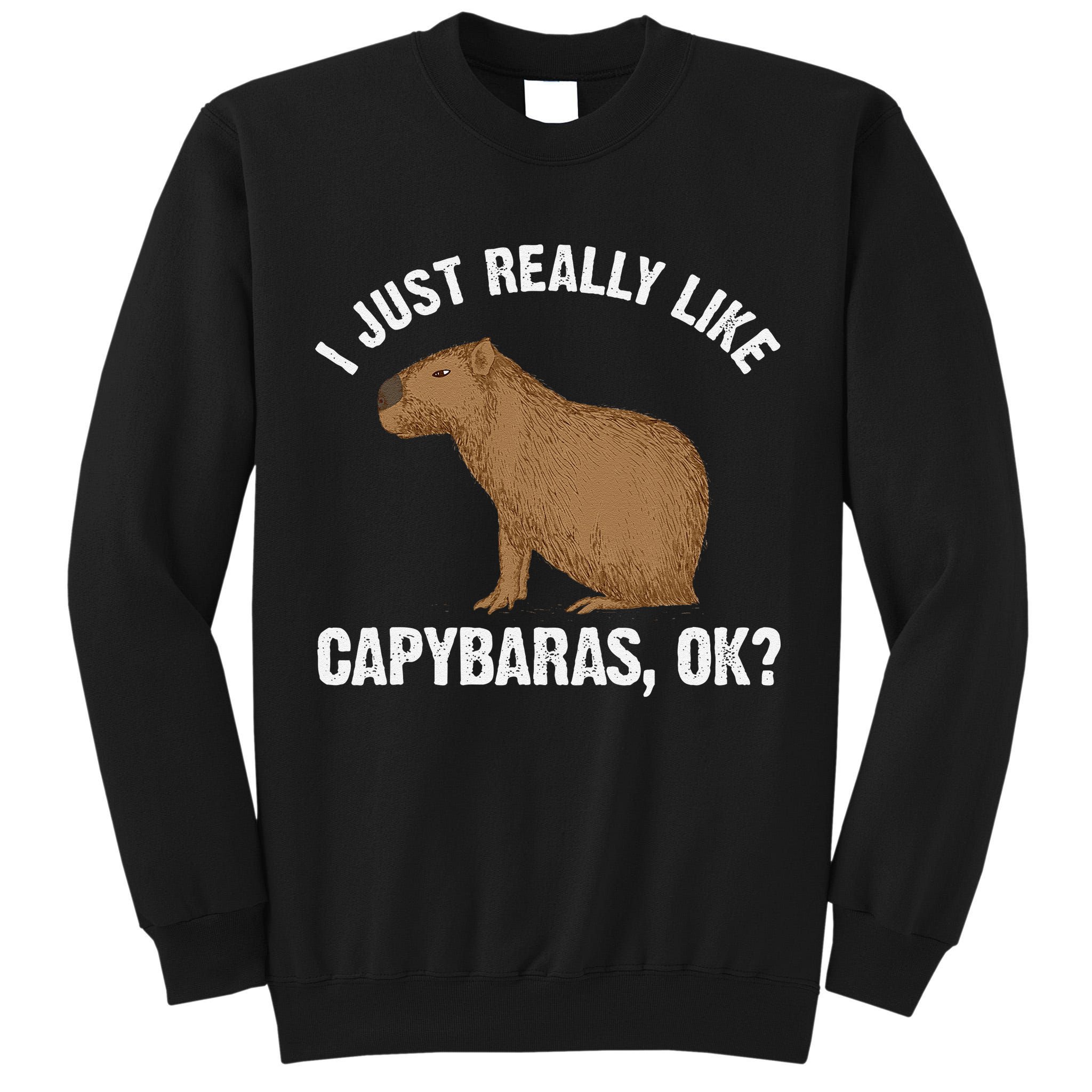 Funny Capybara Art For Rodent Capybara Lover Tall Sweatshirt