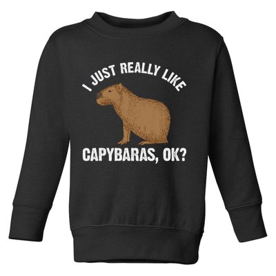Funny Capybara Art For Rodent Capybara Lover Toddler Sweatshirt