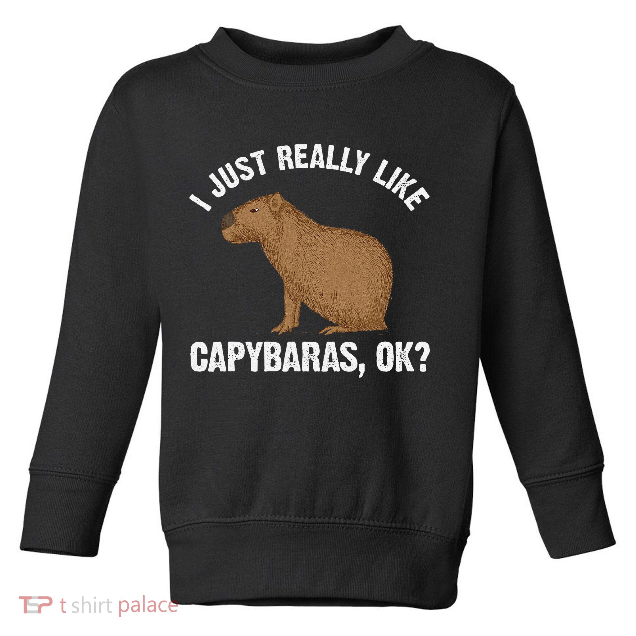 Funny Capybara Art For Rodent Capybara Lover Toddler Sweatshirt