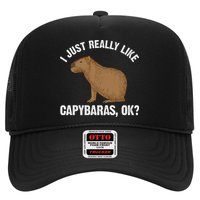 Funny Capybara Art For Rodent Capybara Lover Hat