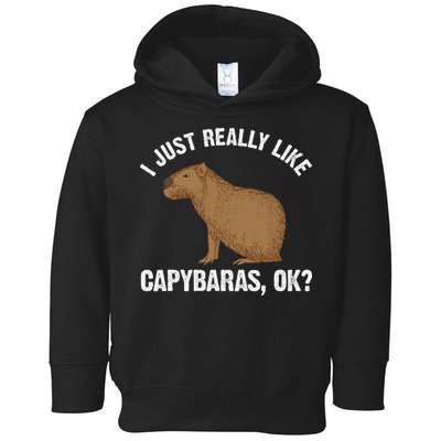 Funny Capybara Art For Rodent Capybara Lover Toddler Hoodie