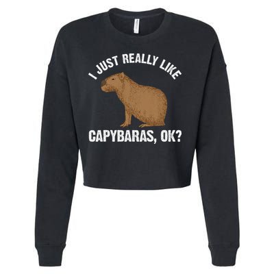 Funny Capybara Art For Rodent Capybara Lover Cropped Pullover Crew