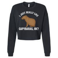 Funny Capybara Art For Rodent Capybara Lover Cropped Pullover Crew