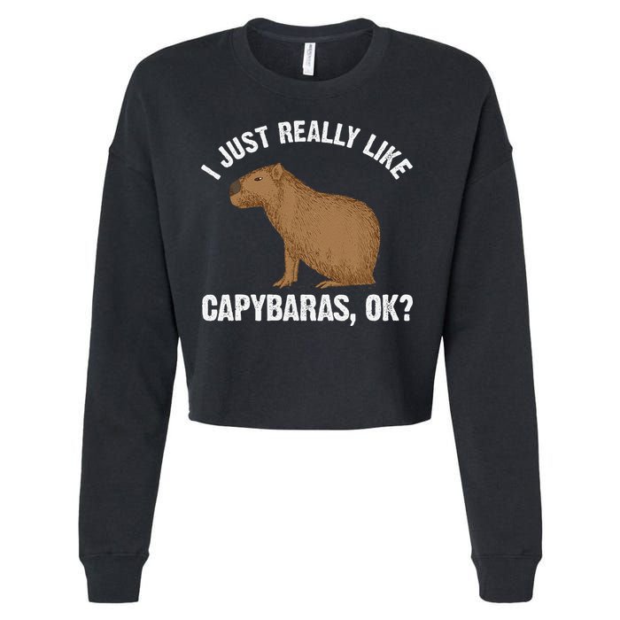Funny Capybara Art For Rodent Capybara Lover Cropped Pullover Crew