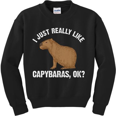 Funny Capybara Art For Rodent Capybara Lover Kids Sweatshirt