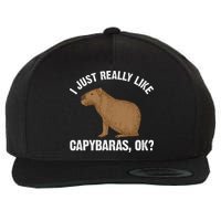 Funny Capybara Art For Rodent Capybara Lover Wool Snapback Cap