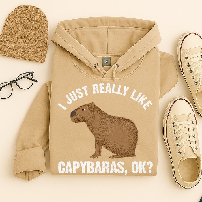Funny Capybara Art For Rodent Capybara Lover Hoodie
