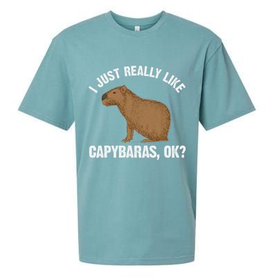 Funny Capybara Art For Rodent Capybara Lover Sueded Cloud Jersey T-Shirt