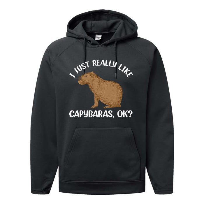 Funny Capybara Art For Men Women Kids Rodent Capybara Lover Performance Fleece Hoodie