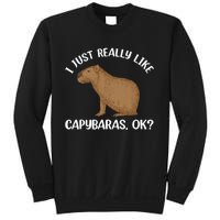 Funny Capybara Art For Men Women Kids Rodent Capybara Lover Sweatshirt