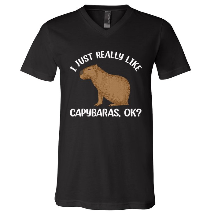 Funny Capybara Art For Men Women Kids Rodent Capybara Lover V-Neck T-Shirt