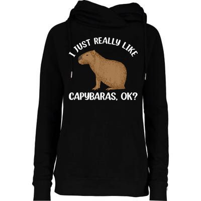 Funny Capybara Art For Men Women Kids Rodent Capybara Lover Womens Funnel Neck Pullover Hood