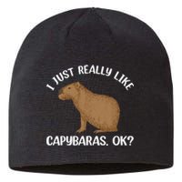 Funny Capybara Art For Men Women Kids Rodent Capybara Lover Sustainable Beanie