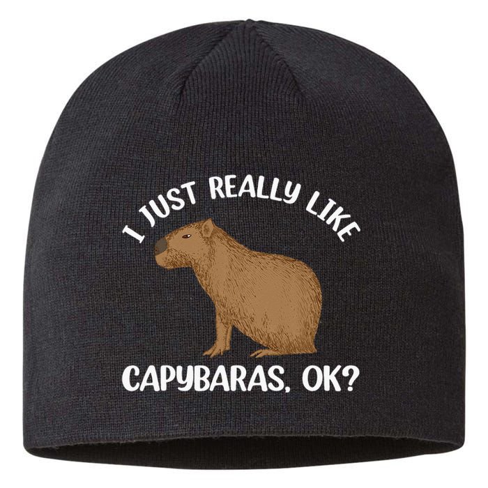 Funny Capybara Art For Men Women Kids Rodent Capybara Lover Sustainable Beanie