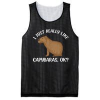 Funny Capybara Art For Men Women Kids Rodent Capybara Lover Mesh Reversible Basketball Jersey Tank