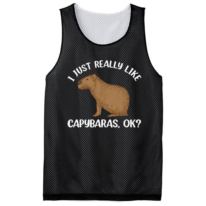 Funny Capybara Art For Men Women Kids Rodent Capybara Lover Mesh Reversible Basketball Jersey Tank