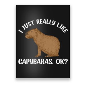 Funny Capybara Art For Men Women Kids Rodent Capybara Lover Poster