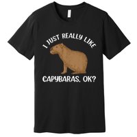 Funny Capybara Art For Men Women Kids Rodent Capybara Lover Premium T-Shirt