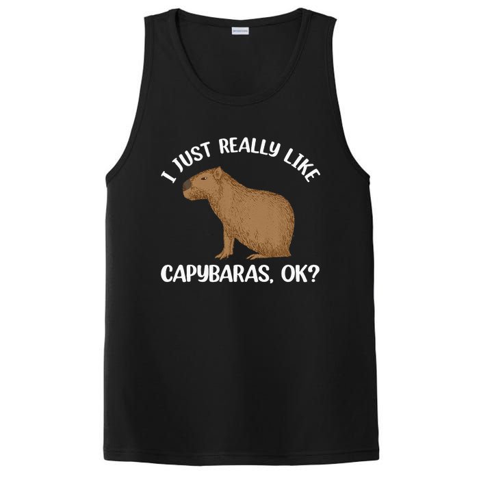 Funny Capybara Art For Men Women Kids Rodent Capybara Lover PosiCharge Competitor Tank