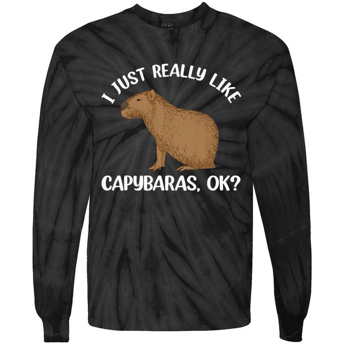 Funny Capybara Art For Men Women Kids Rodent Capybara Lover Tie-Dye Long Sleeve Shirt